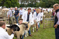 Malton Show 2024